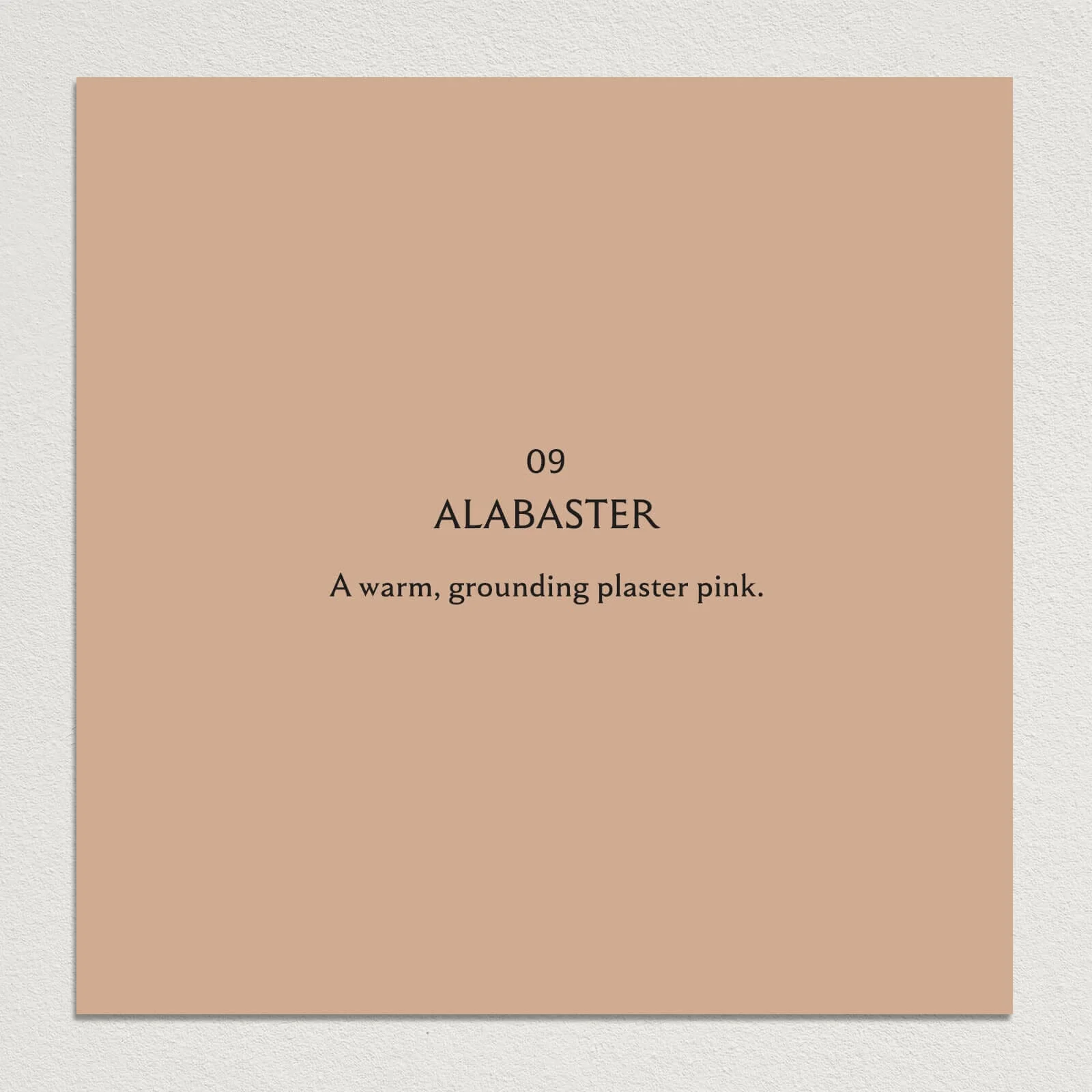 ALABASTER Paint - 09 - Image 4