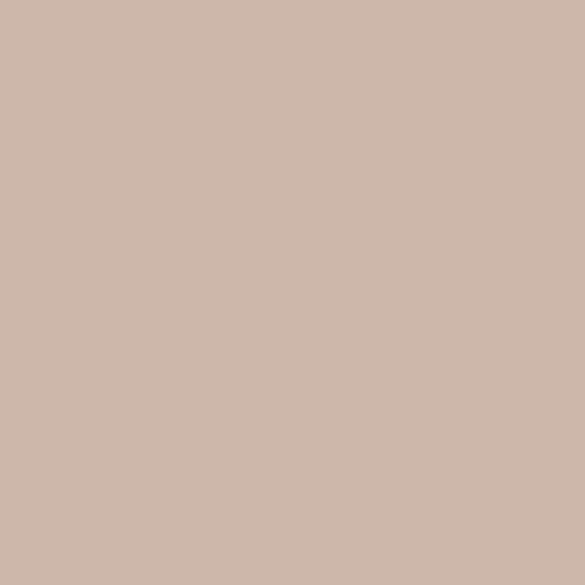ASTRANTIA Paint - 95 - Image 4