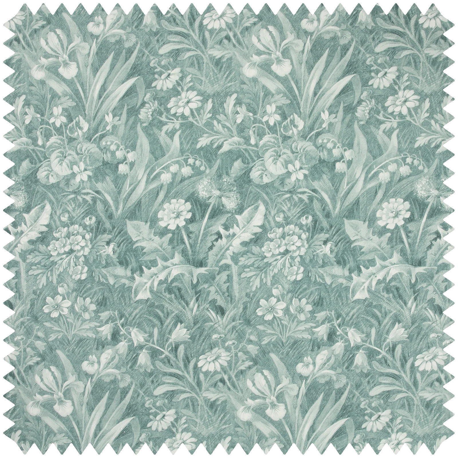BELTANE Hemp - Euphorbia Sample