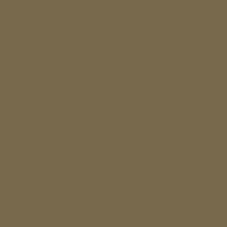 CAREX Paint - 101 - Image 3