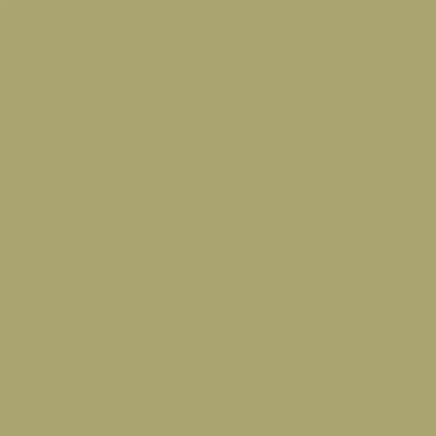 CELOSIA Paint - 31 - Image 3