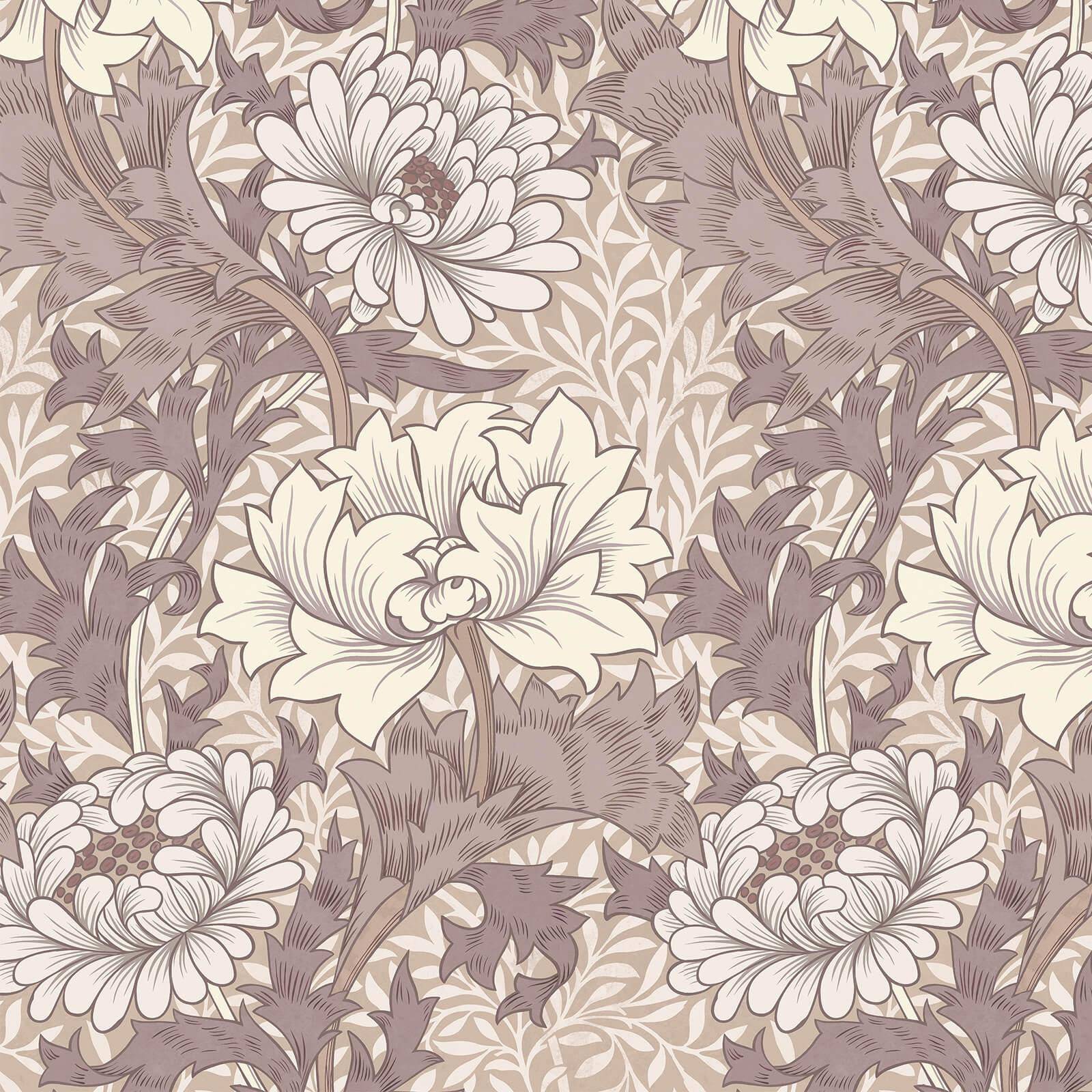 CHRYSANTHEMUM MAGNA Wallpaper - Astrantia