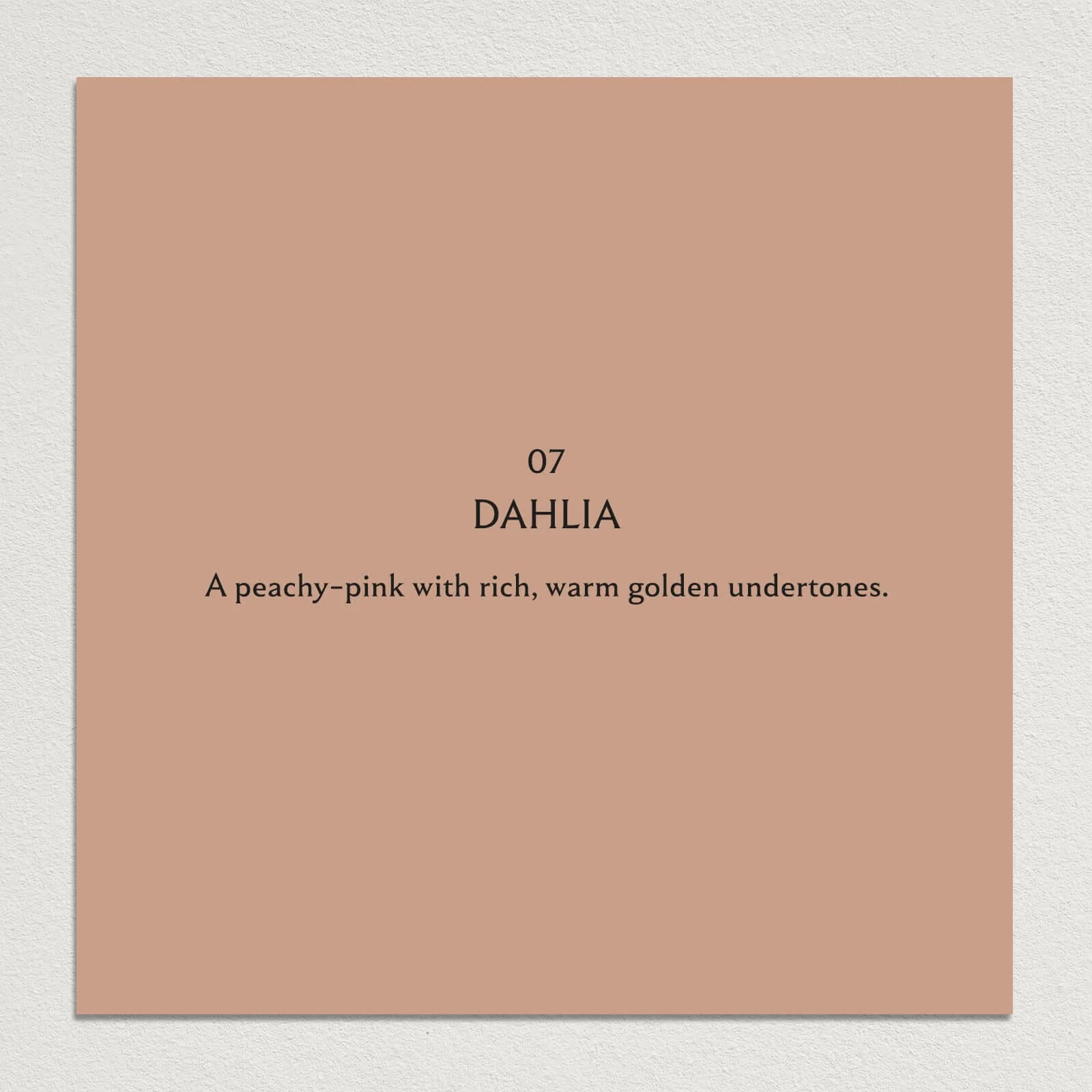 DAHLIA Paint - 07 - Image 3