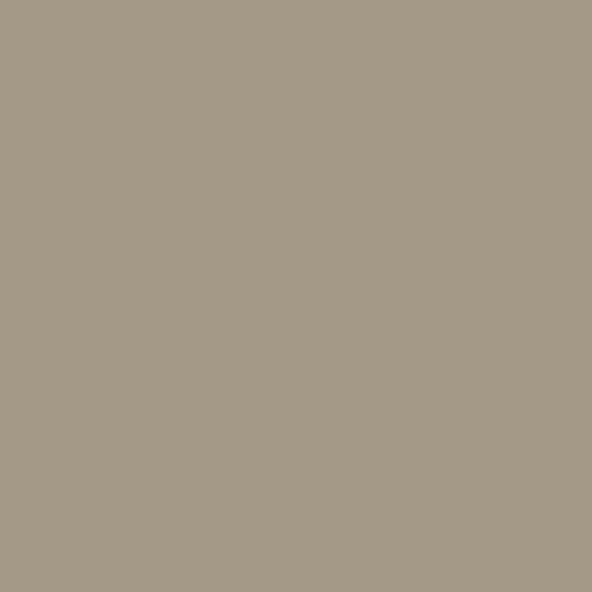 FUNGHI Paint - 05 - Image 3