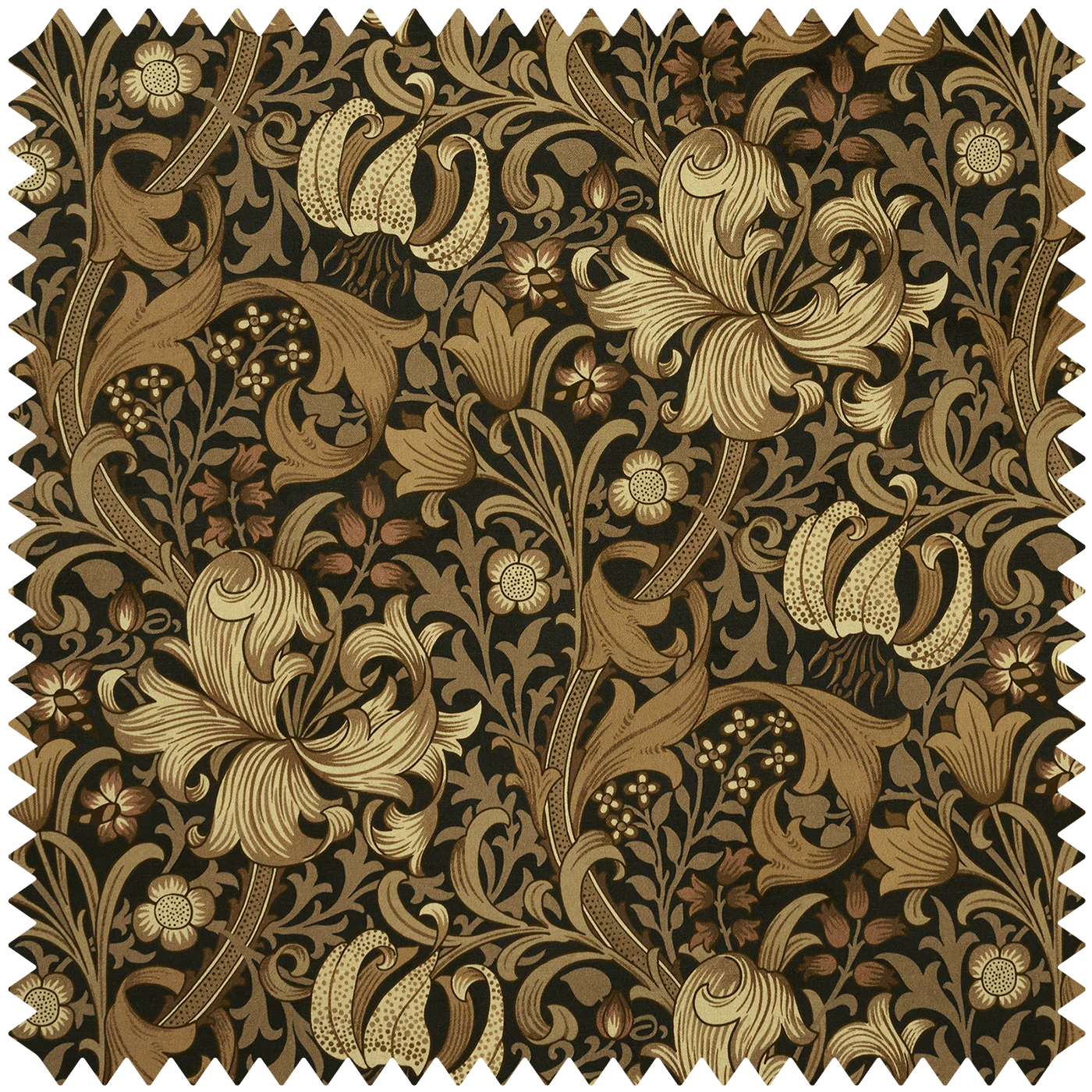 GOLDEN LILY Velvet - Black Sample