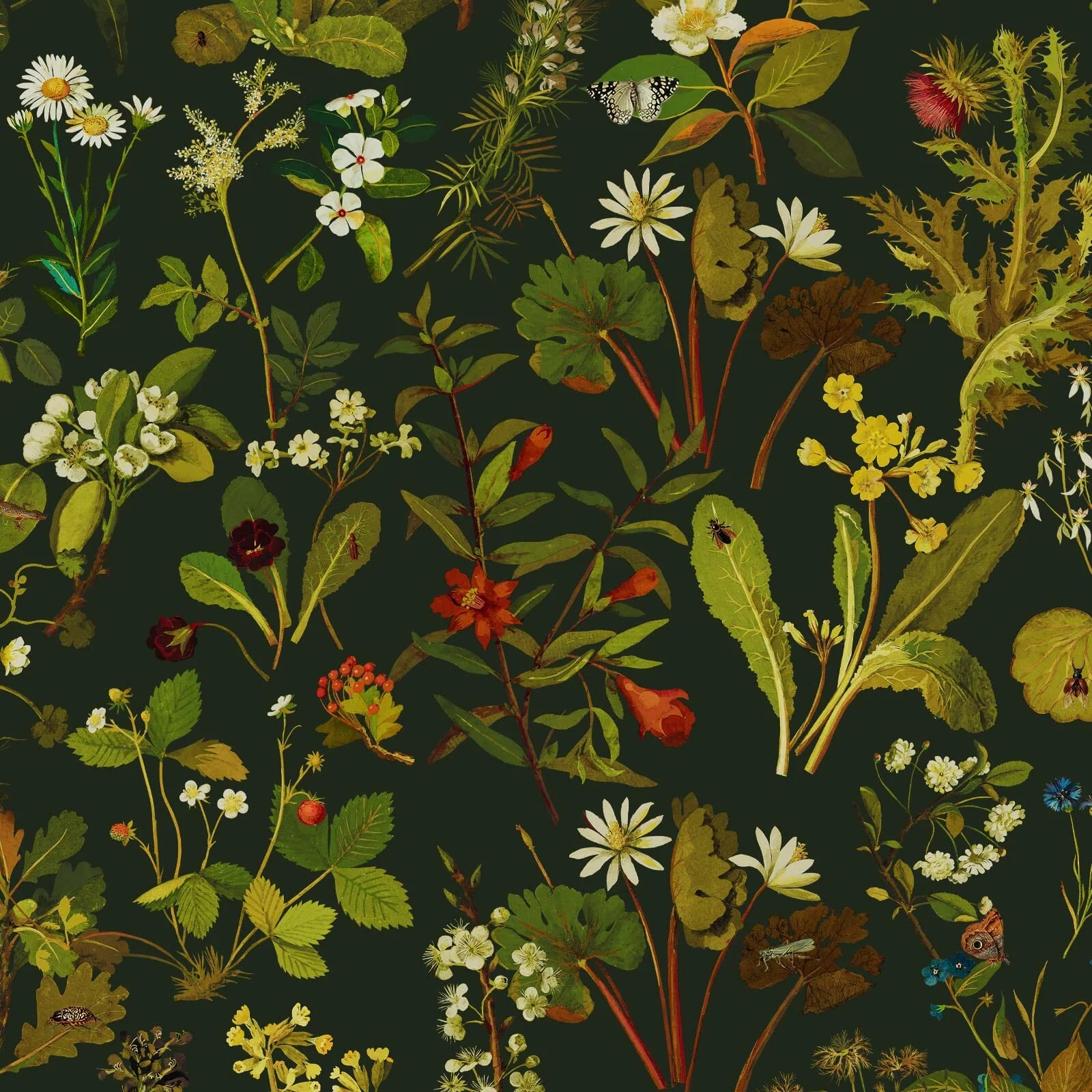 HERBARIUM Wallpaper - Forest Green-Spruce Sample