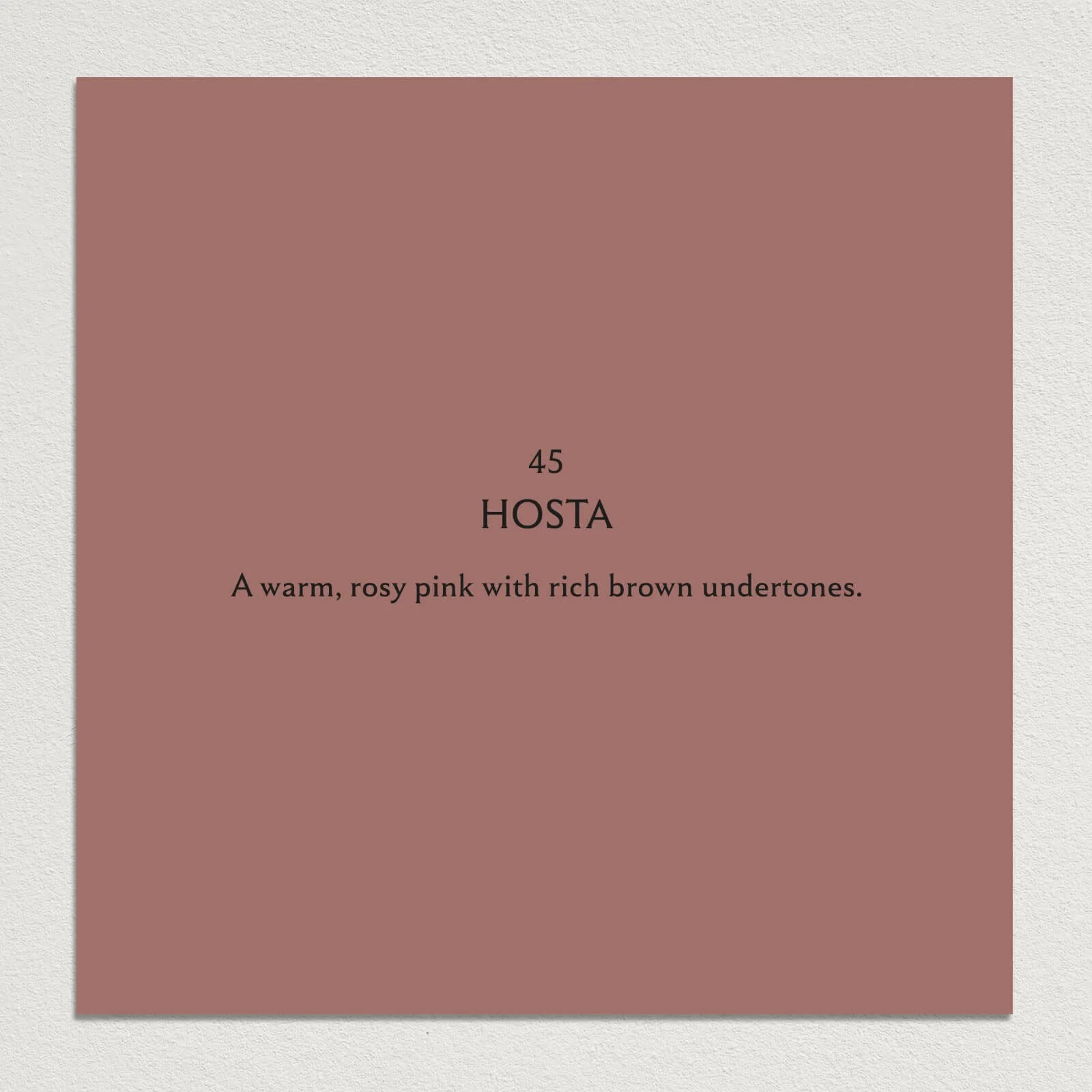 HOSTA Paint - 45 - Image 3