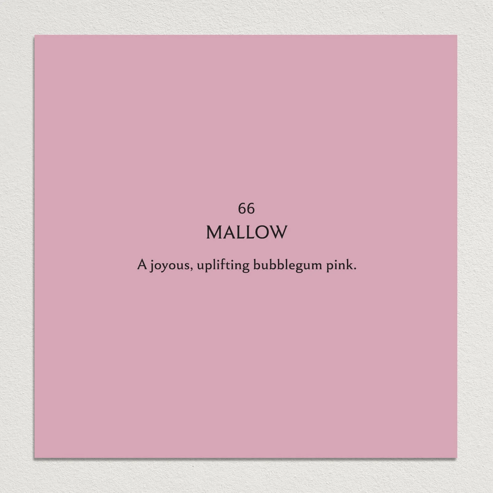 PAINT SAMPLE PACK - Pinks - Image 6