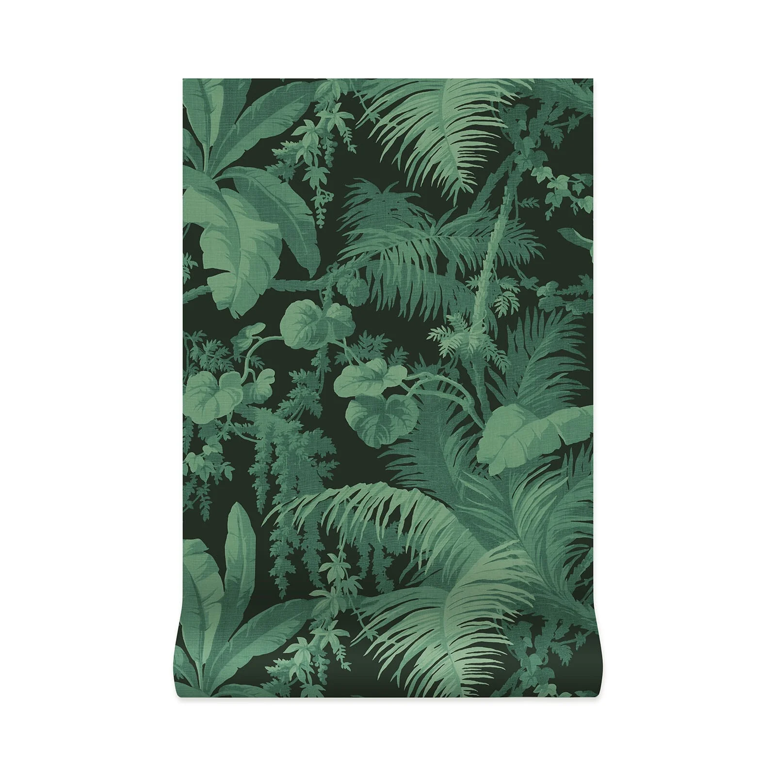 PAMPAS Wallpaper - Noir - Image 4
