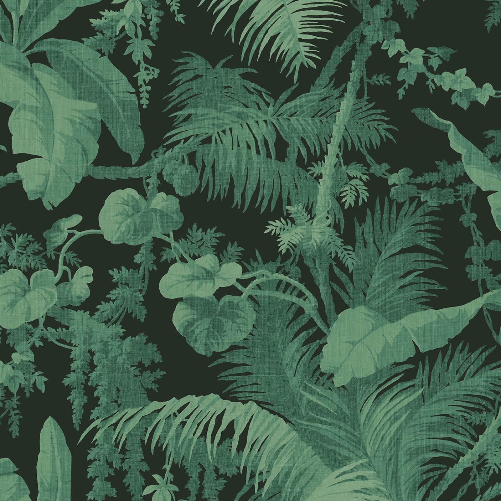 PAMPAS Wallpaper - Noir Sample