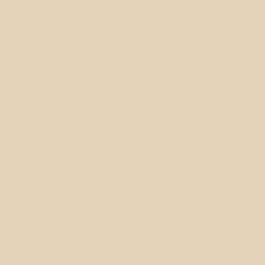 PHLOX Paint - 57 - Image 4