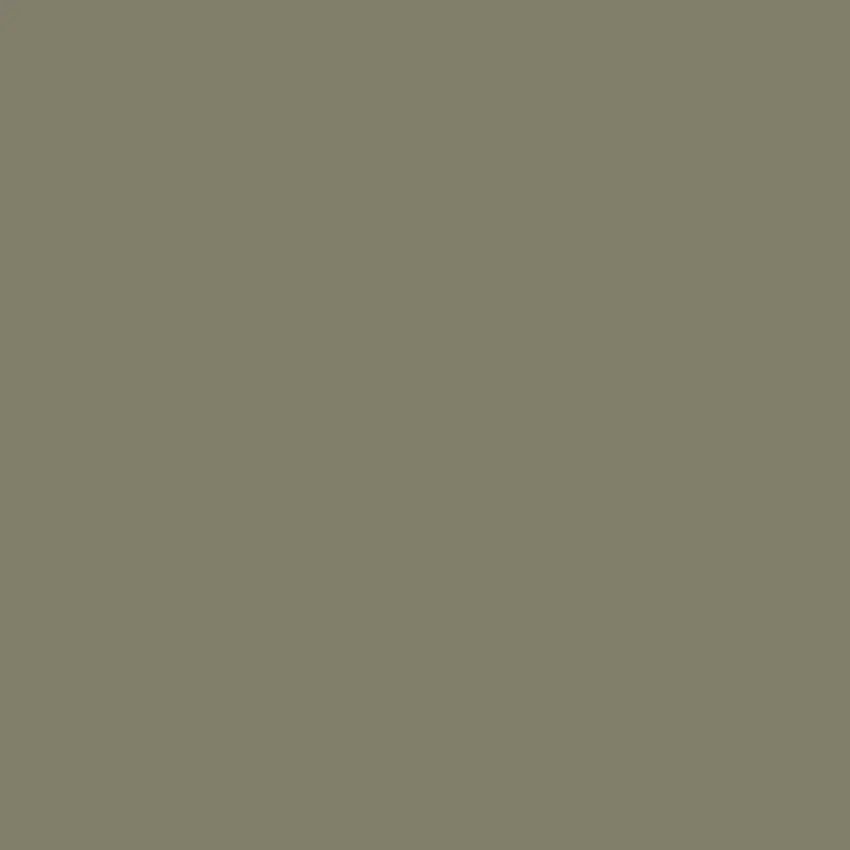 SAP Paint - 30 - Image 3