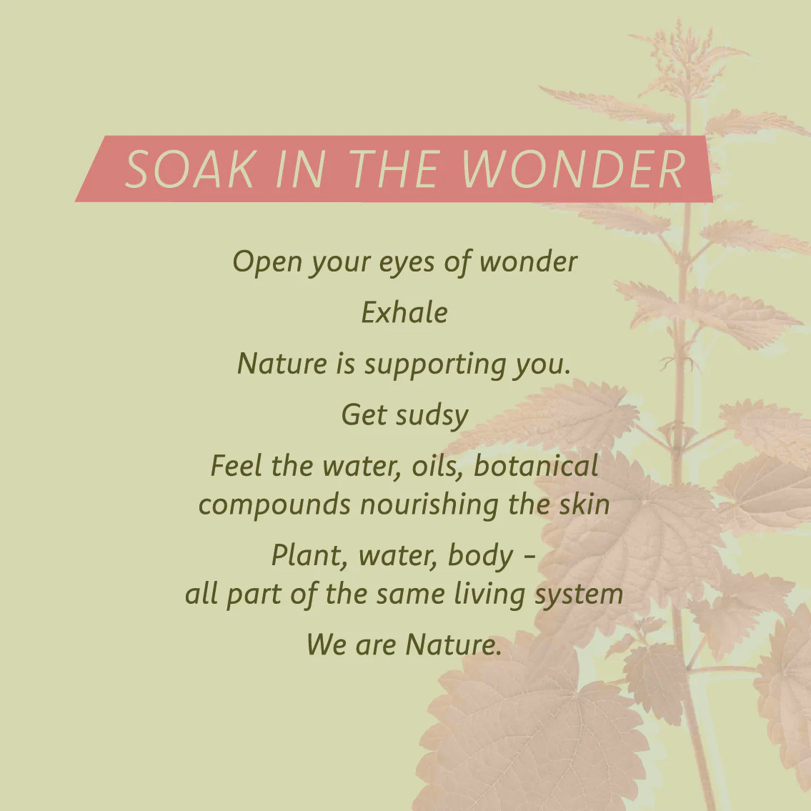 SunSeason Soap Bar - Image 5