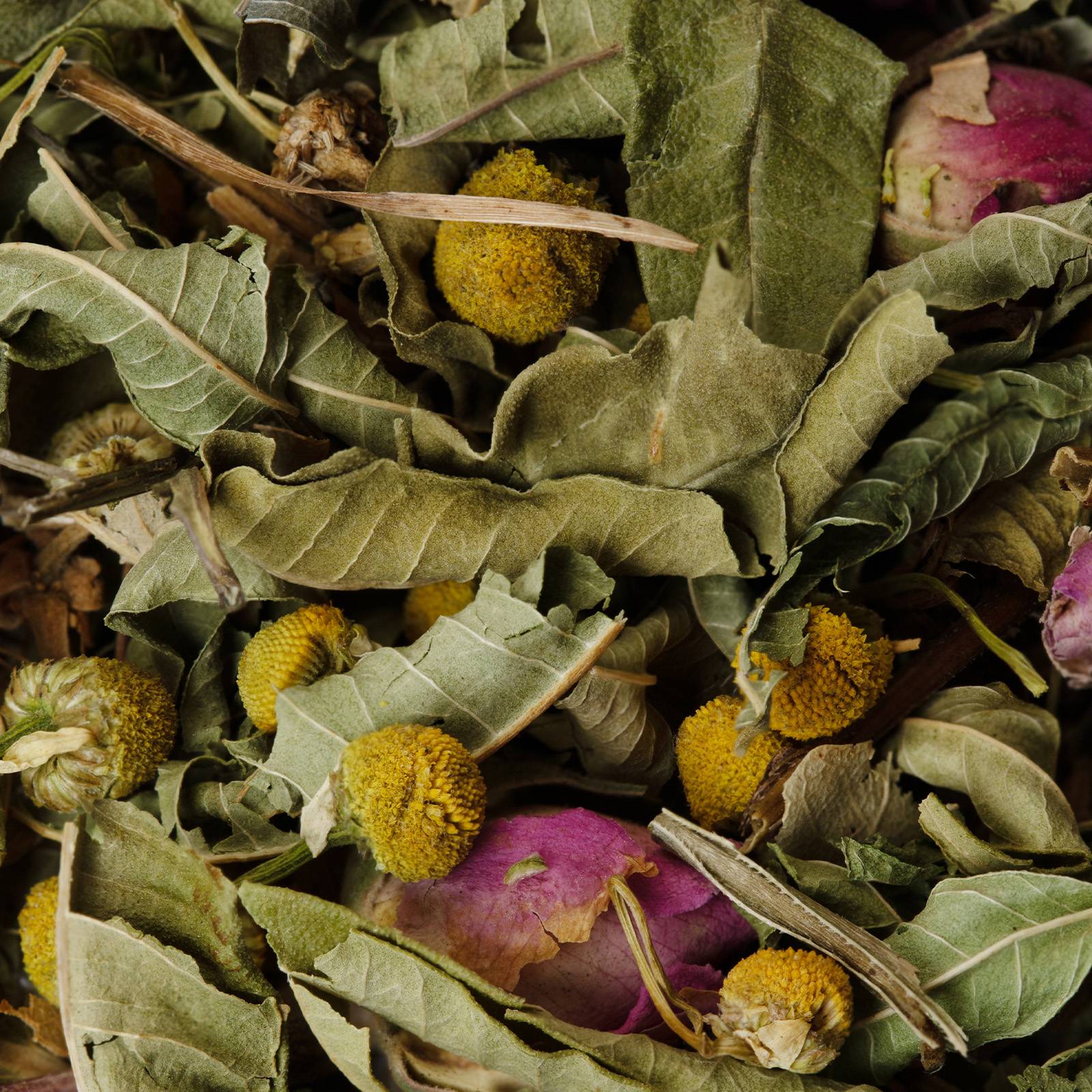 SunSeason Tea Blend - Image 3